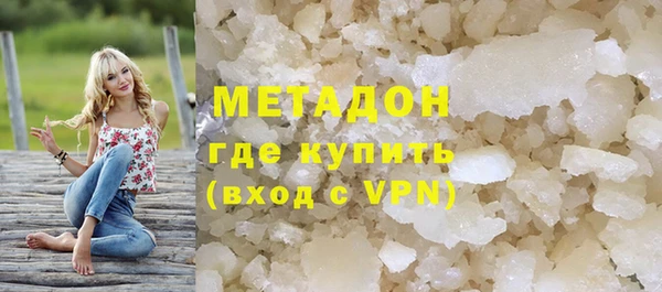 прущие грибы Магас