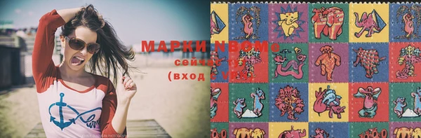 прущие грибы Магас