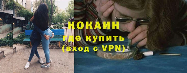 прущие грибы Магас