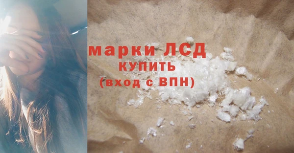 прущие грибы Магас