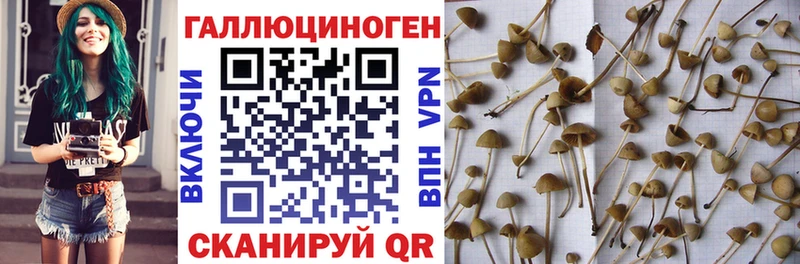 Псилоцибиновые грибы GOLDEN TEACHER  Донской 