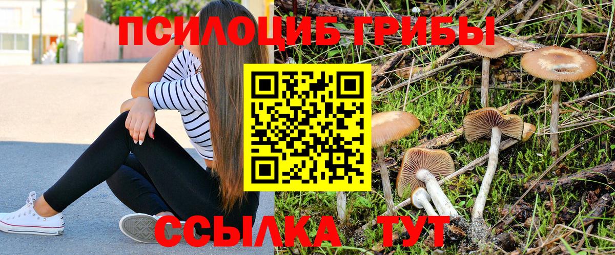 Галлюциногенные грибы мицелий Донской