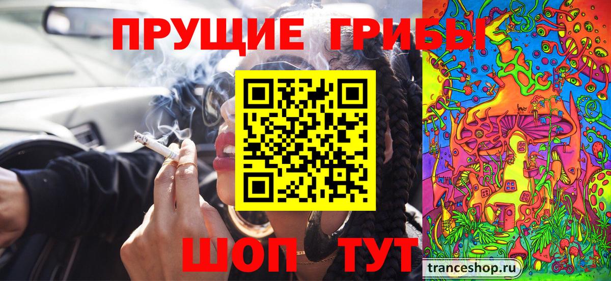 Псилоцибиновые грибы прущие грибы  Донской 